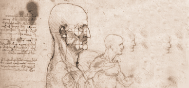 disegno di Leonardo da Vinci